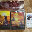 クマ捕獲とデッキケース&スリーブげと ジムバトルわいずまん