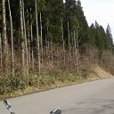 先週土曜位から