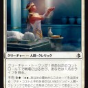 アモンケットのカード