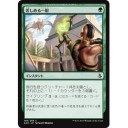 苦しめる一射の前を葛飾北斎は200年前に描いていたか