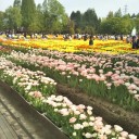 連休3日目