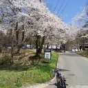 引き続き