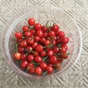 果物と野菜が順調に育っています。