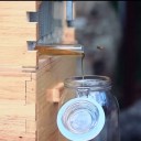 ミツバチ巣箱通販・自動採取方法beehouseloveの自動採蜜機