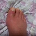 大阪から戻り早一週間