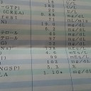 土曜日の