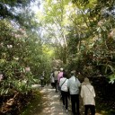 古寺素描３４－女人高野・室生寺③ー奈良