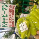 週末記～三田アウトレット、PPTQ@フロンティア神戸～