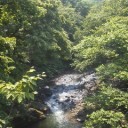 往路。　（７月７日入力）