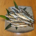 鮎　解禁！