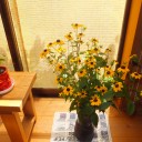 梅雨明け！
