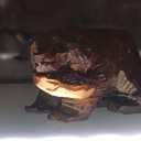 よしの