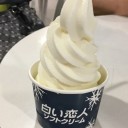 冬より早い気がする