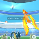 篠崎でも空振り