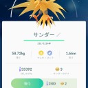 三鳥ｹﾞﾄｰ