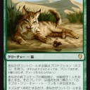 可愛すぎる《飢えたオオヤマネコ》