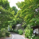 古寺素描４５ー笠場山普門寺①ー花の山寺・真庭市