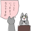 朝の仕事を終えて一服・・・・・・優雅な土用の１１時。今日はのんびり過ごそうかｎ