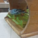 ★札幌オーロラタウン★『小鳥の広場』★のエサが無い？！(￣○￣;)！　（大通り公園下）