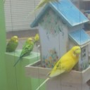 （ごはん食べました♪）