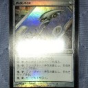 久々のFoil購入！