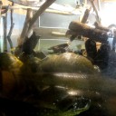 須磨海浜水族館ー２