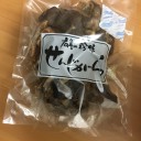 せんじがら
