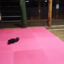 昨日日曜も