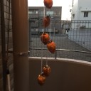 干し柿
