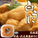 ガーキーどーもー！！