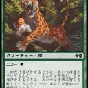 ３０００円以内で赤緑恐竜　初心者といえば赤緑！MTG漫画での王道だよな！