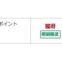 今年は金運が少しだけ良かったようだ。