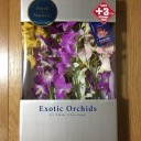 「ＮＥＷ　ＴＨＩＲＤ　ＨＥＲＤ　ＯＲＣＨＥＳＴＲＡ」のＪＡＺＺ　ＬＩＶＥ