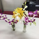 タイのお土産はランの花に限る