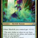 魚ロード《Merfolk Mistbinder》