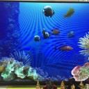 ソフトウェア『Aqua Real 2』の問題解決