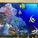 ソフトウェア『Aqua Real 2』の問題解決