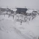 ここ二日ほど