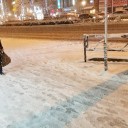 久し振りの雪