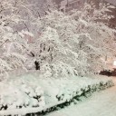 久し振りの雪