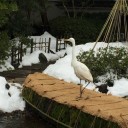 大阪淀川溶接組合旅行２日目