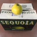 簡易型消臭・除菌剤の噴霧装置
