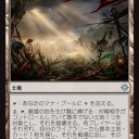 緑白生類解放擬似土地破壊