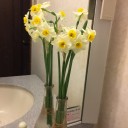 季節の花はしっかりと咲いています