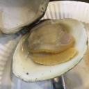 ウミコヤ38