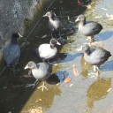 水ぬるむ？