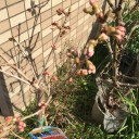 今年に入って一番暖かい一日でした。
