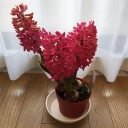 今年に入って一番暖かい一日でした。