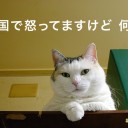 福島医大が「生体試料」／【風化】という言葉／「もう忘れよう」という空気作り／安倍晋三は４２の原子炉の再稼働を目指す／４２って福島以外ほとんじゃないか。バカか。　（補完）