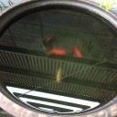 休みの土曜日